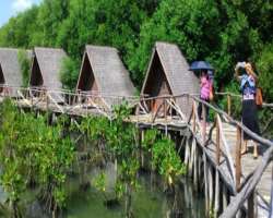 This is a favorite location for bird watchers. The visitors can watch numerous birds from the bridge located inside the reserve which alongside showin